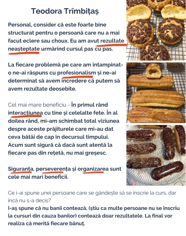 Feedback curs ecler choux TeodoraT