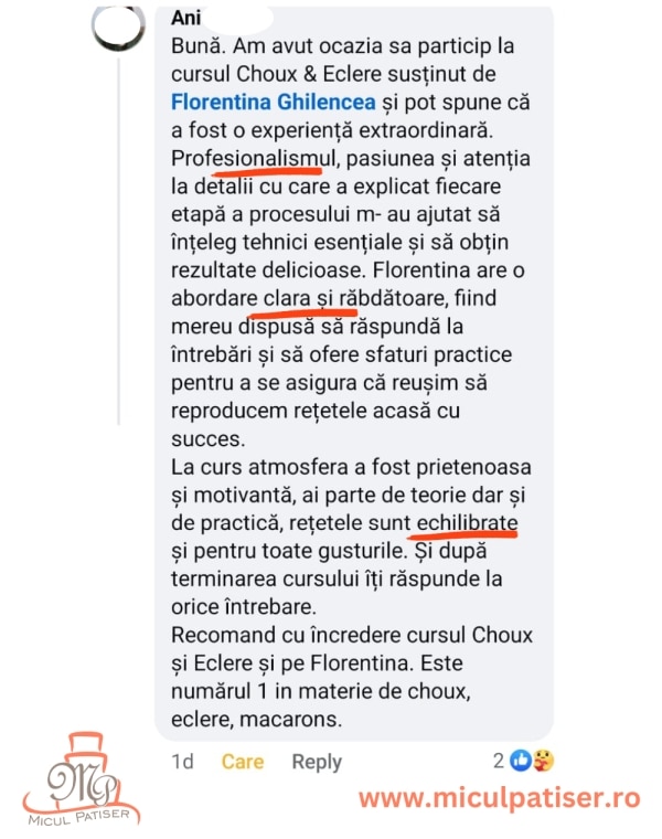 feedback curs eclere Ani