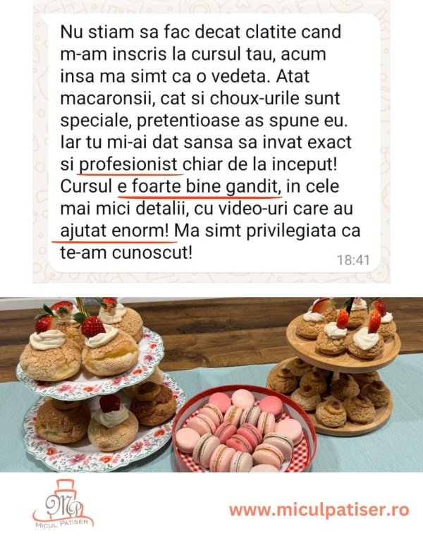 feedback curs eclere macarons