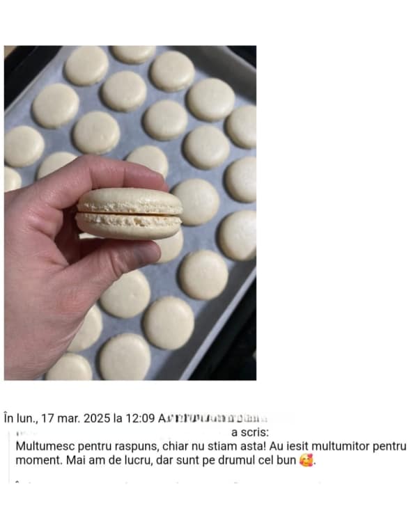 feedback e-book primii pasi catre macarons perfecti