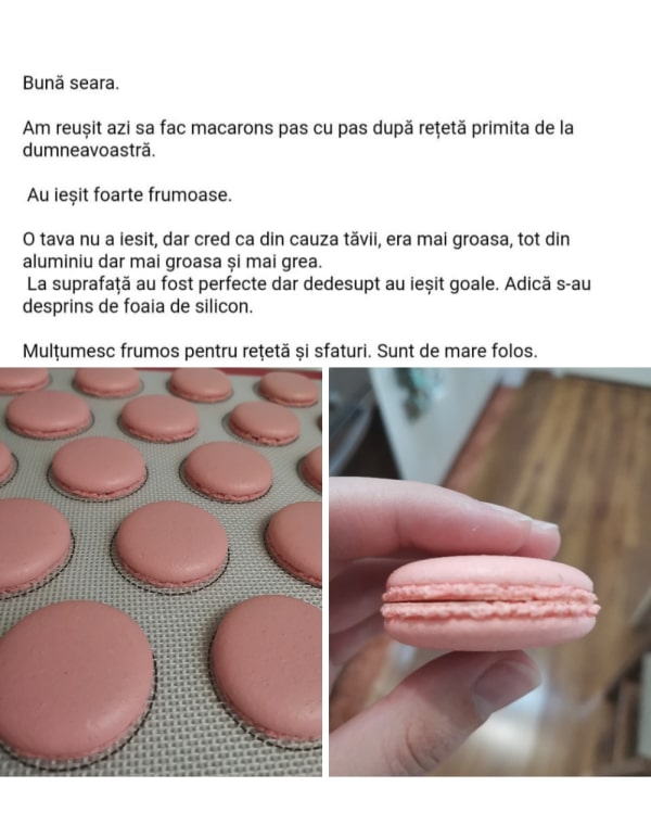 feedback primii pasi catre macarons perfecti ebook 3