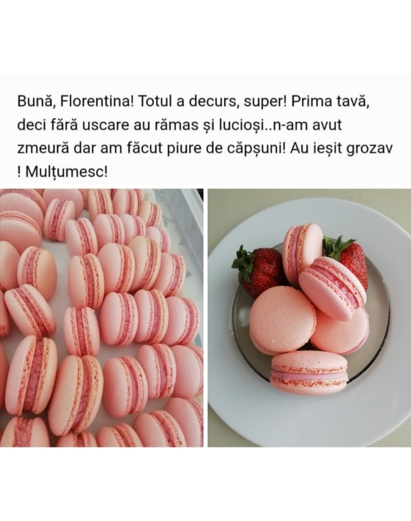 feedback primii pasi catre macarons perfecti ebook 5