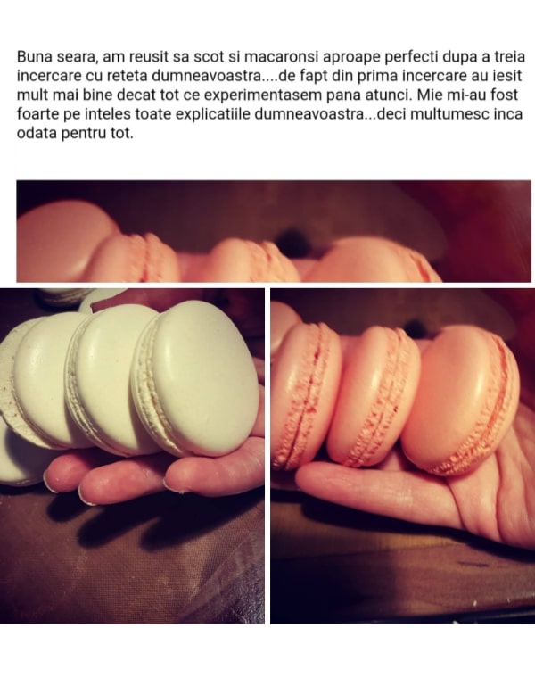 feedback primii pasi catre macarons perfecti ebook 6