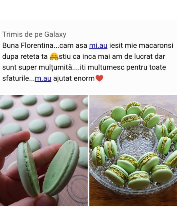 feedback primii pasi catre macarons perfecti ebook 7