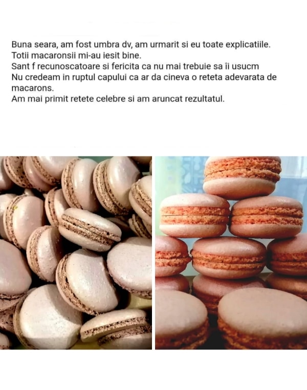 feedback primii pasi catre macarons perfecti ebook 8