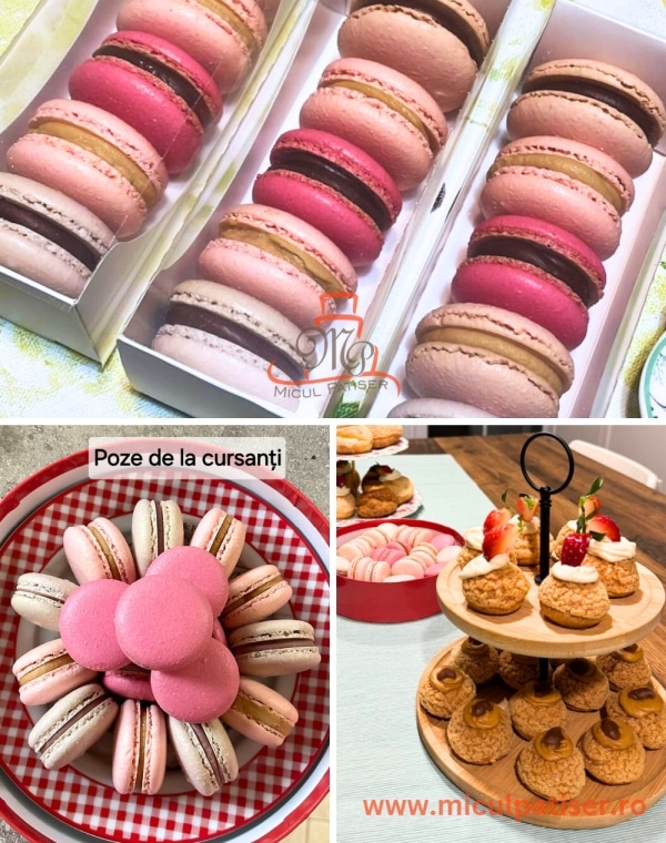 feedback mihaela macarons perfecti micul patiser